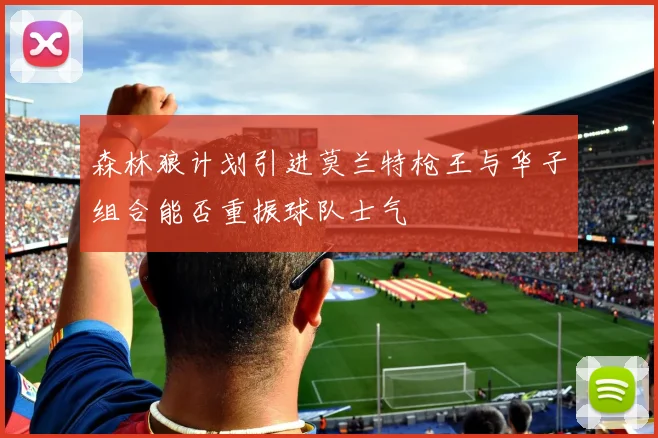 森林狼计划引进莫兰特枪王与华子组合能否重振球队士气
