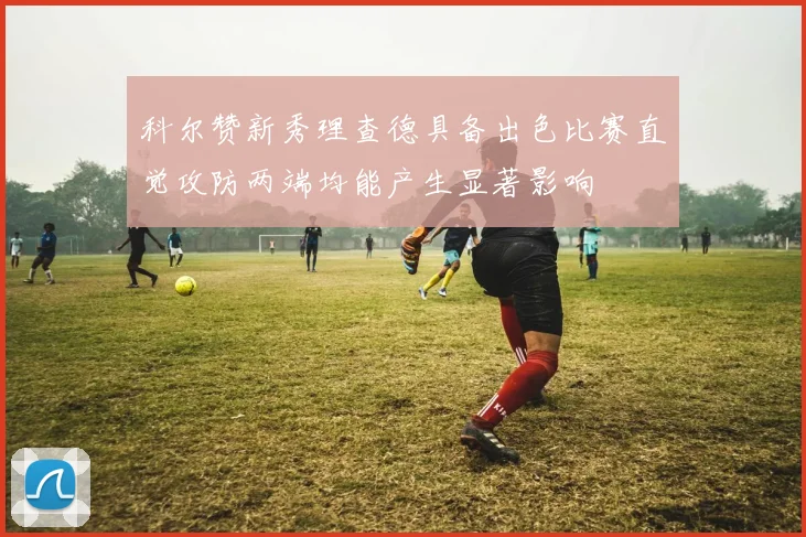 科尔赞新秀理查德具备出色比赛直觉攻防两端均能产生显著影响
